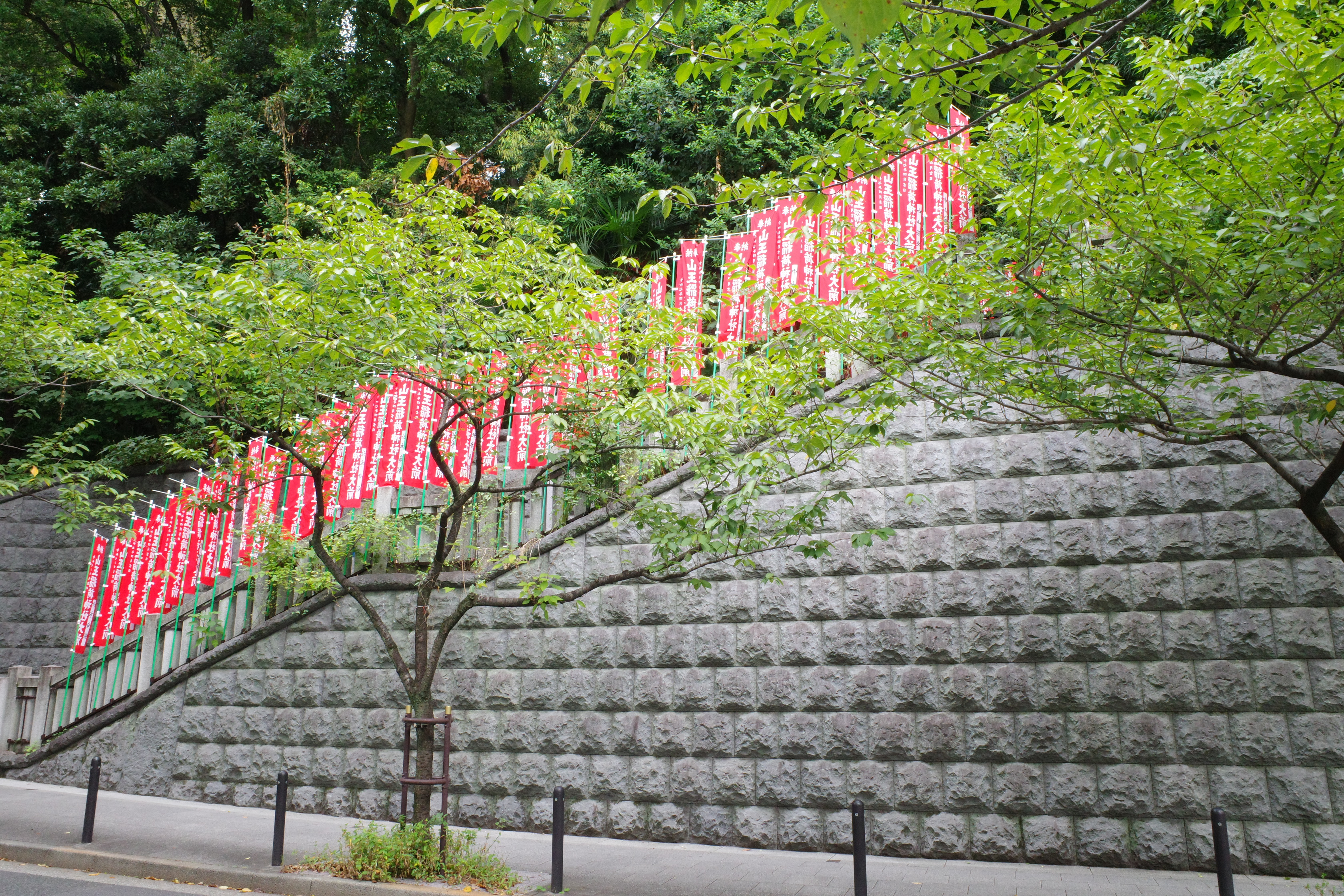 An image of a lot of red flags at Shintoh Shrine