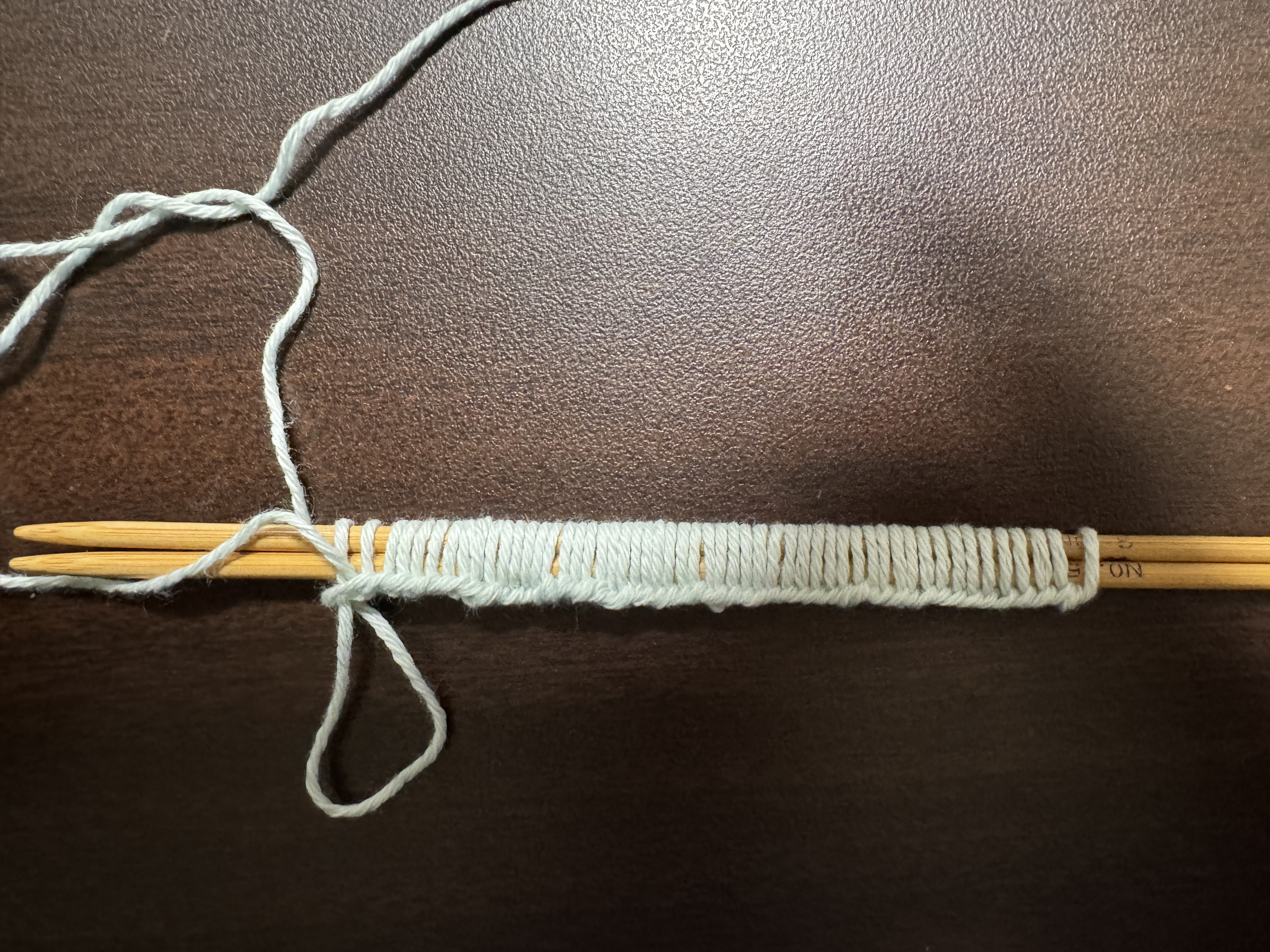 An image of casted on stitches on two knitting needles