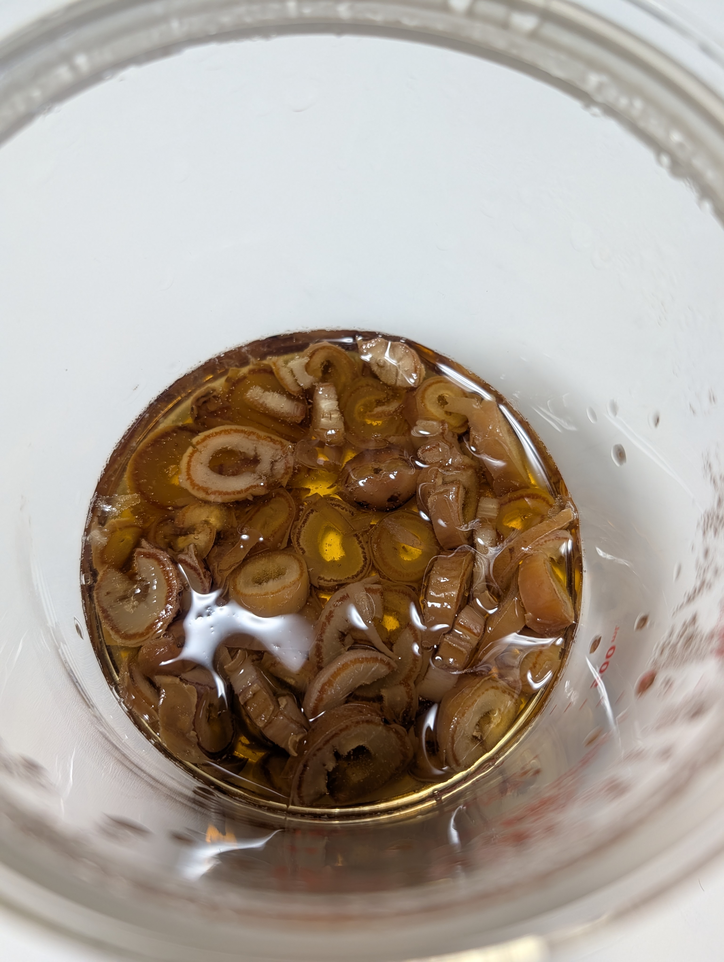 Dates in filtered water, day two
