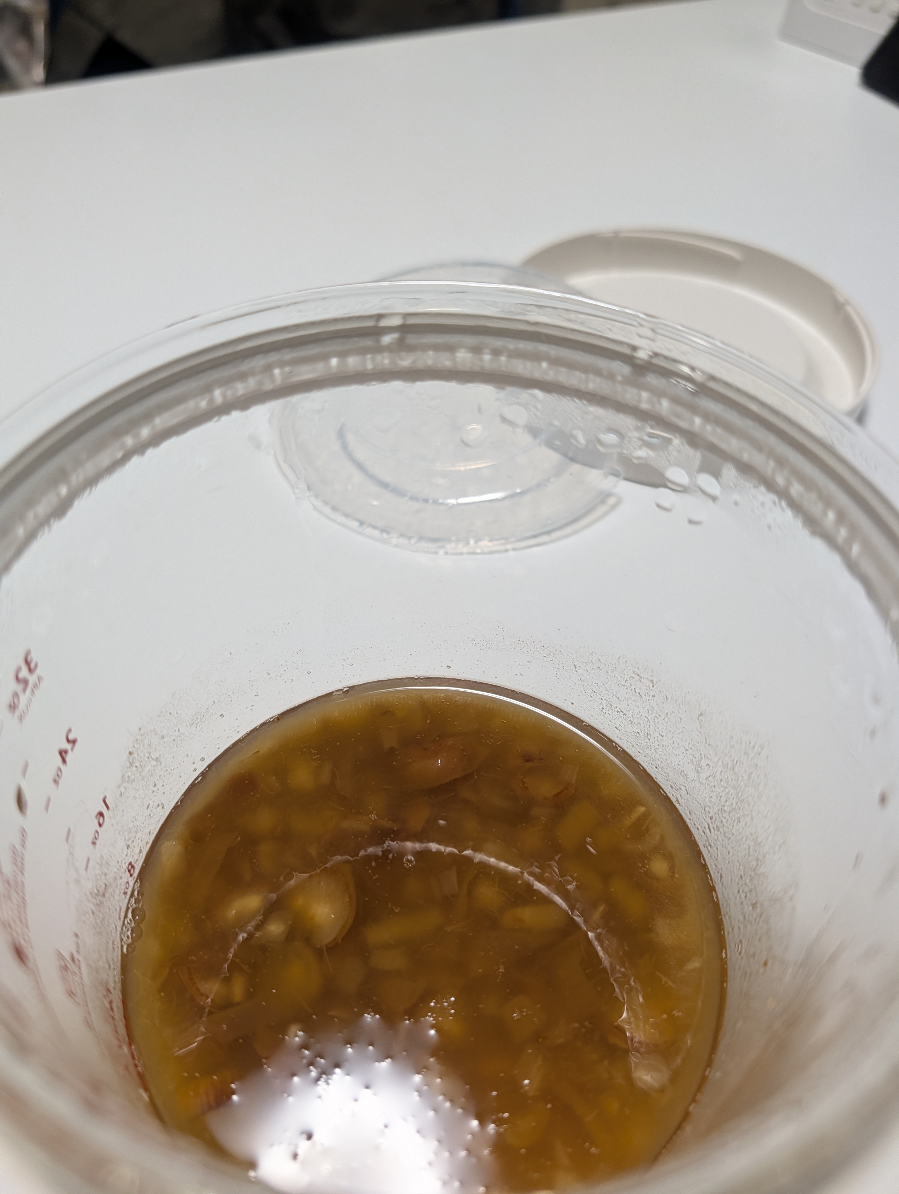 Dates in murky water, day three