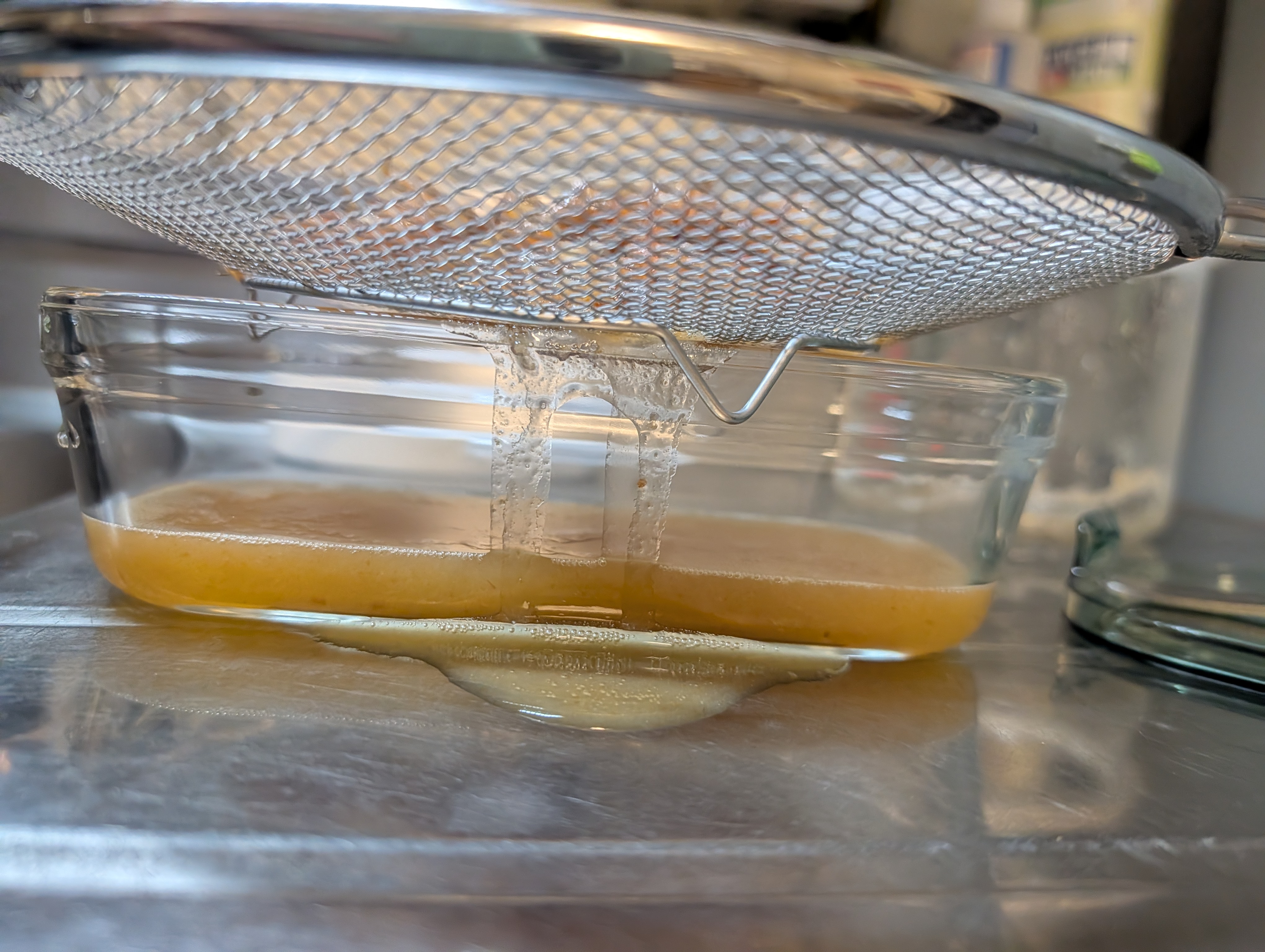 Filtered date yeast water, day four