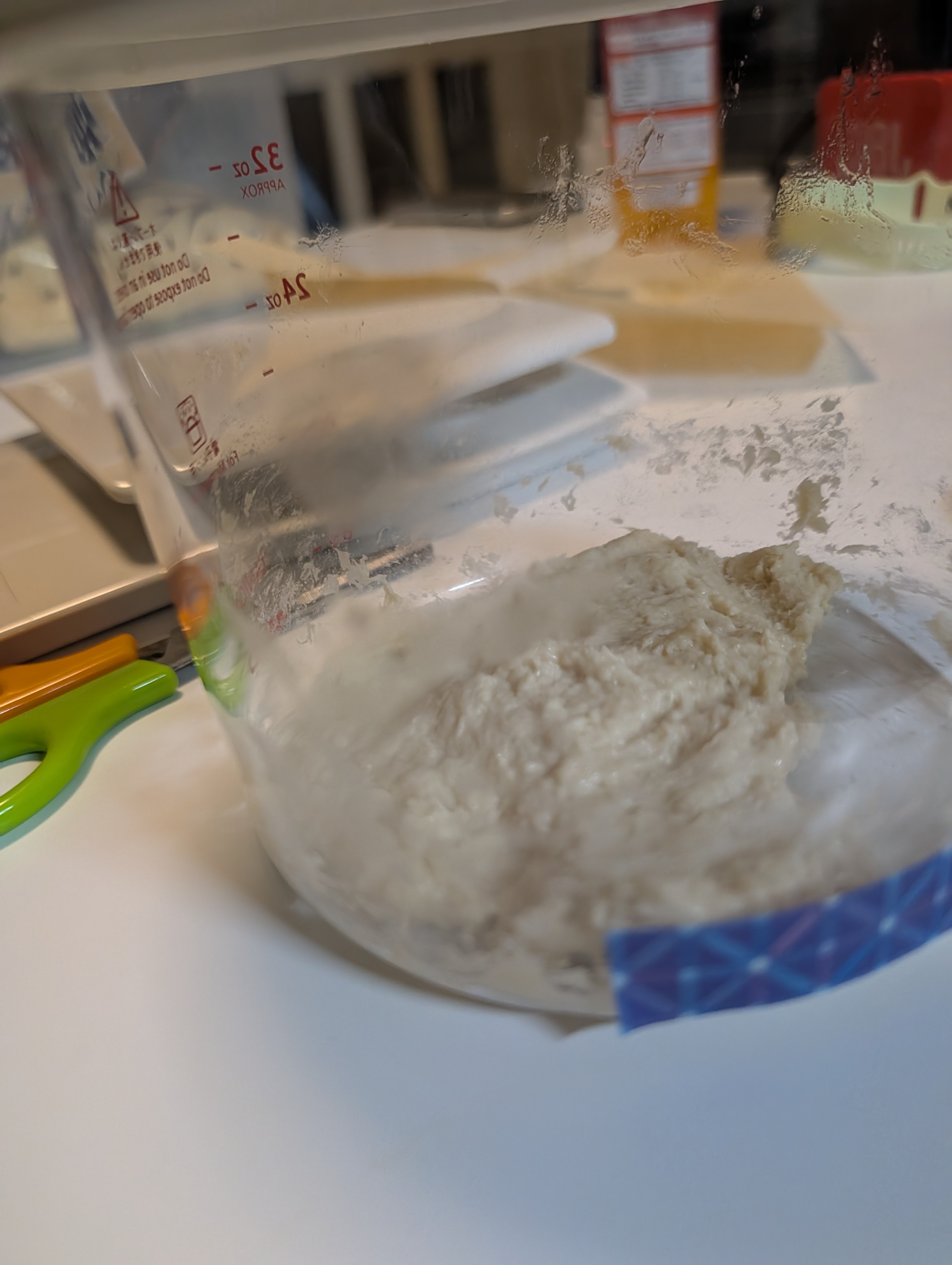 Mixture of date yeast water and strong flour, day five