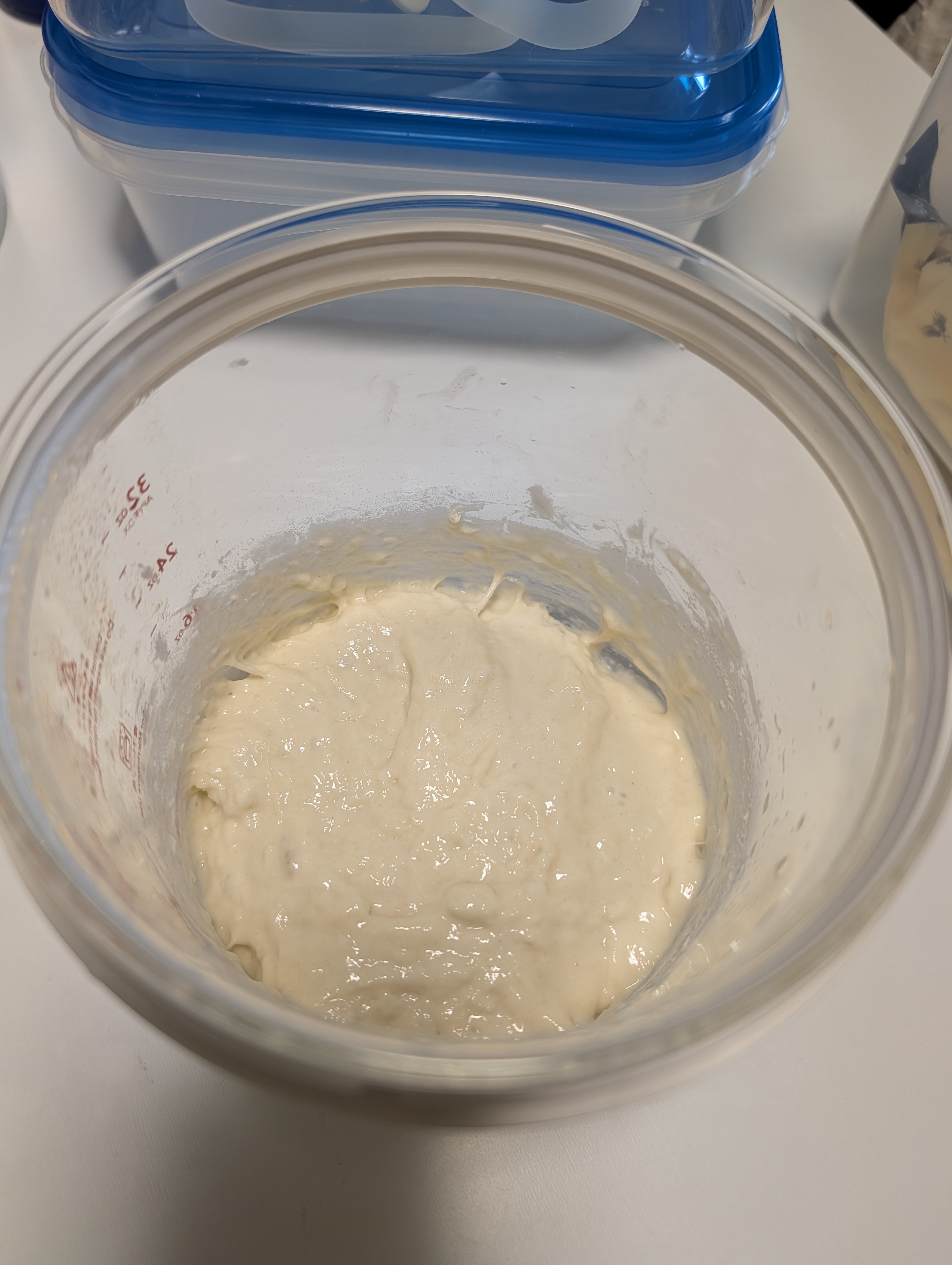 The leaven before fermentation, day nine